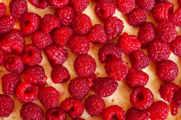 istock Background of raspberries on Shortcake dough 1277507066