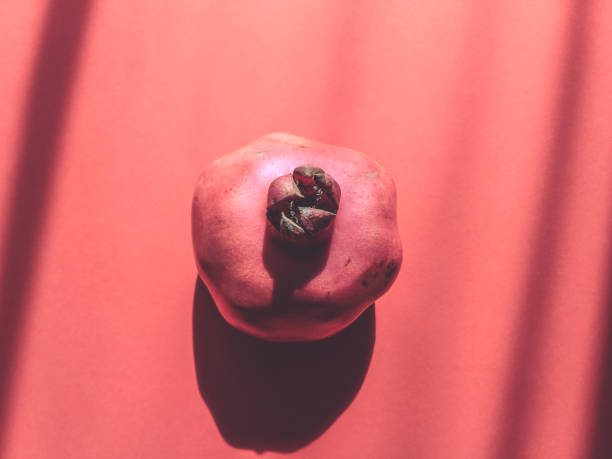 istock Ripe pomegranate on a red background 1277512311