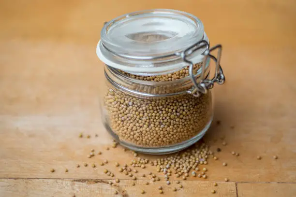Clear glass mason jar with open lid containing bright yellow mustard seeds, with some seeds scattered around, on a yellow wooden worktop.