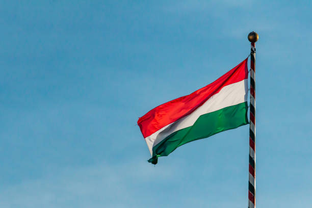 istock Hungarian national flag 1277516850
