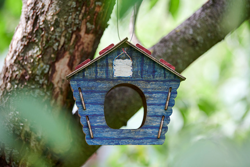 Birdhouse on tree. Branch of apple tree with bird house. Cute blue nest box in public park for bird feed.