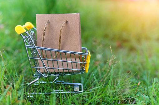 paper bag next to the supermarket trolley. The concept is the purchase of environmentally friendly products. Recycled goods.