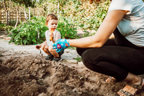 istock Family gardening together 1277518631