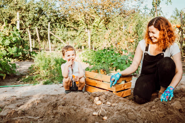 istock Family gardening together 1277518644