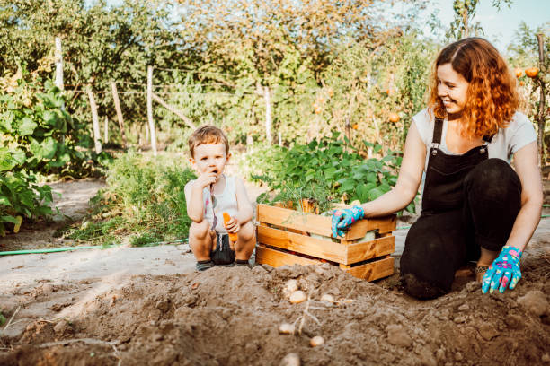 istock Family gardening together 1277519103