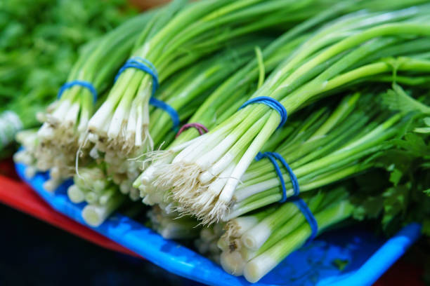 istock fresh green onions on the market counter. selective focus 1277519108