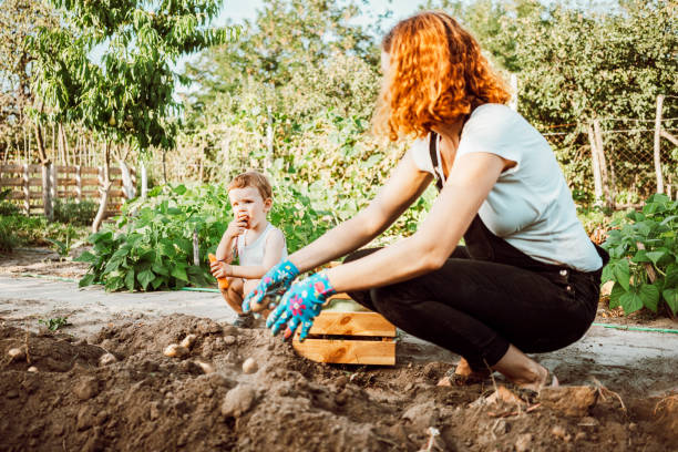istock Family gardening together 1277519169
