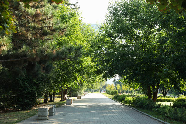istock Beautiful city park in bright sunny morning 1277520496