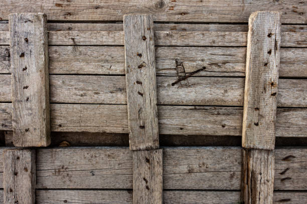istock Old Wooden Planks as Perfect Rustic Background For any Needs. Detailed Texture With Nails and Scratches 1277521572