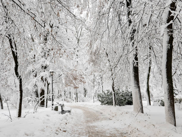 istock Winter city park 1277522957