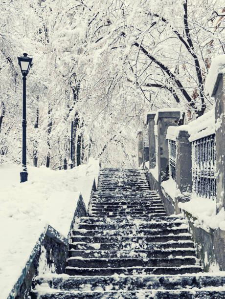 istock Winter city park 1277522988