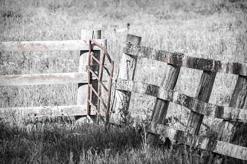 Country landscape with wooden fence in black and white and red metal gate at Gresford, Hunter Region, NSW, Australia.