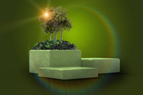 istock Green trees on pedestal with empty places 1277524913