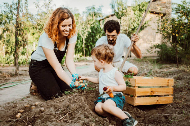 istock Family gardening together 1277526028