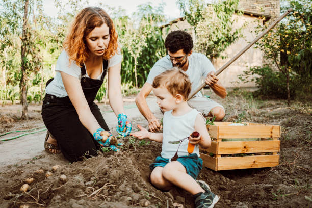 istock Family gardening together 1277526056