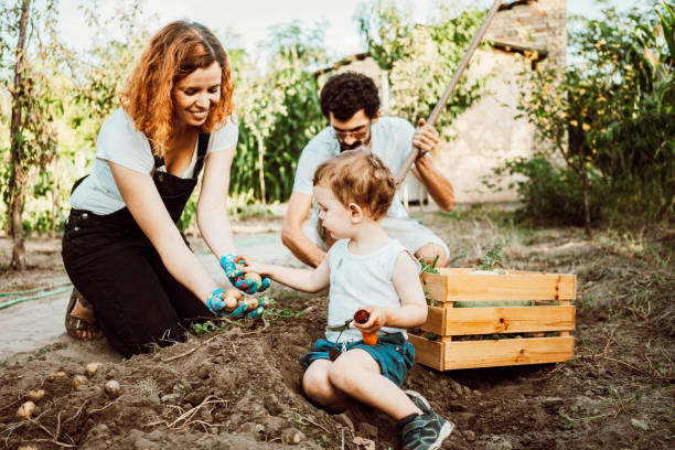 istock Family gardening together 1277526082