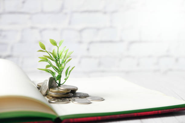 istock Close up of young plan growing through coins. 1277530161