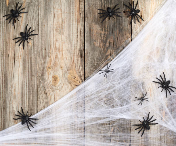 istock white spider web with black spiders on a gray wooden background from old boards 1277533197