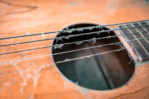 Old guitar With spider fibers covered