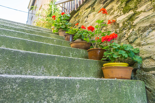 Begonias in flower pots on an old staircase as decoration
