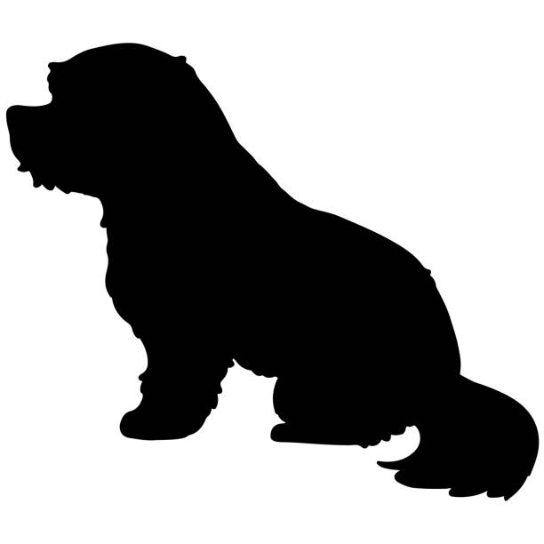 사이드 뷰에 앉아있는 몰타 강아지의 검은 실루엣 - 몰티스 stock illustrations