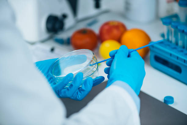 istock Food Safety Testing in Microbiology Laboratory 1277536918