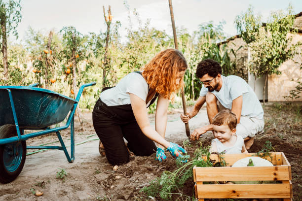 istock Family gardening together 1277536937