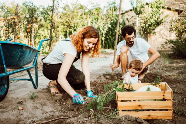 istock Family gardening together 1277536949