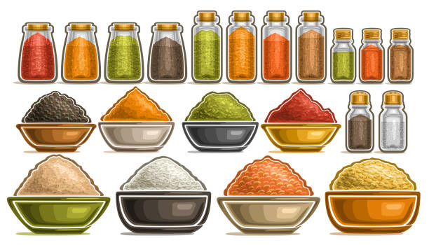 Vector Set of different Spices Vector Set of different Spices, collection of isolated illustrations with healthy cereals in pots, diverse fresh hot spices in dishes, group of assorted dried seasonings in glass containers on white. rosemary dry spice herbal medicine stock illustrations