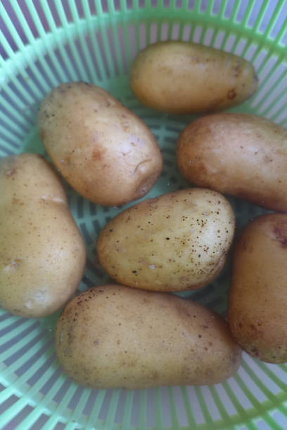 istock Potatoes in water for cleaning 1277541710