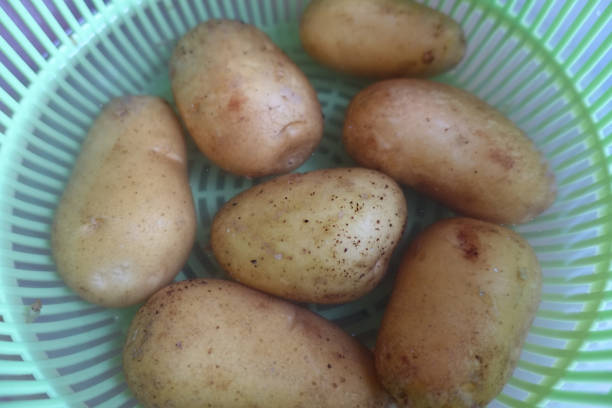 istock Potatoes in water for cleaning 1277541718