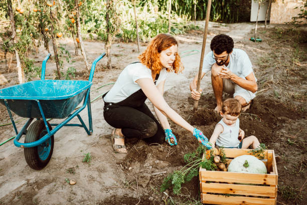 istock Family gardening together 1277541935
