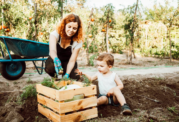 istock Family gardening together 1277542008