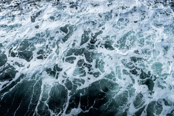 istock Foamy Fjord Water High Angle View 1277542107