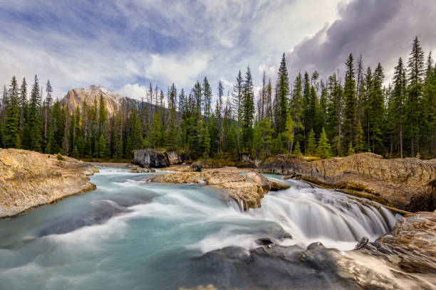 istock Natural Bridge Falls, Yoho Alberta Kanada travel destination 1277543231