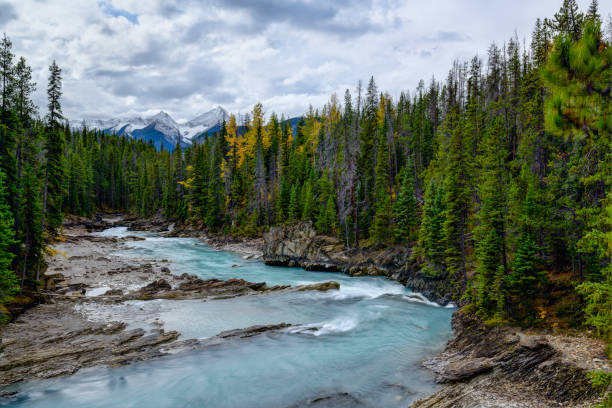 istock Natural Bridge Falls, Yoho Alberta Kanada travel destination 1277543239