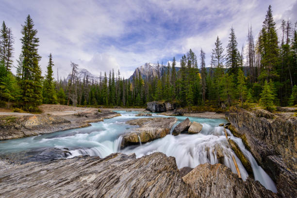 istock Natural Bridge Falls, Yoho Alberta Kanada travel destination 1277543263