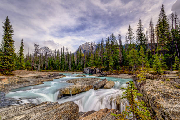 istock Natural Bridge Falls, Yoho Alberta Kanada travel destination 1277543288