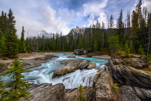 istock Natural Bridge Falls, Yoho Alberta Kanada travel destination 1277543297