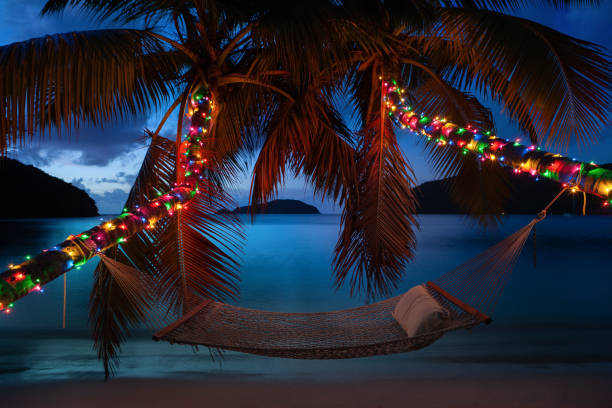 hamac sous le palmier avec des lumières de noël sur une plage tropicale - christmas palm tree island christmas lights photos et images de collection