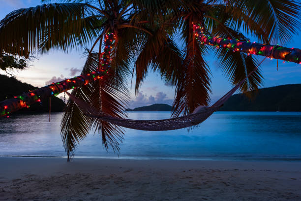 hamac sous le palmier avec des lumières de noël sur une plage tropicale - christmas palm tree island christmas lights photos et images de collection