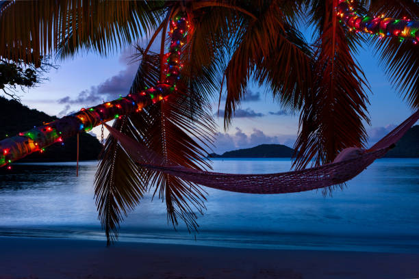 rede sob palmeira com luzes de natal em uma praia tropical - christmas palm tree island christmas lights - fotografias e filmes do acervo