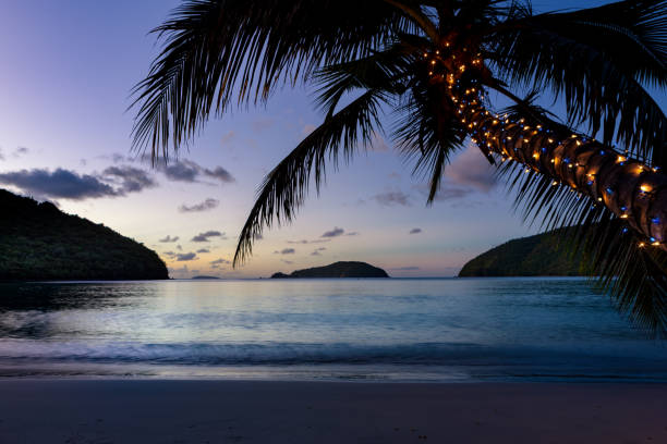 palmier avec des lumières de noël sur une plage tropicale - christmas palm tree island christmas lights photos et images de collection