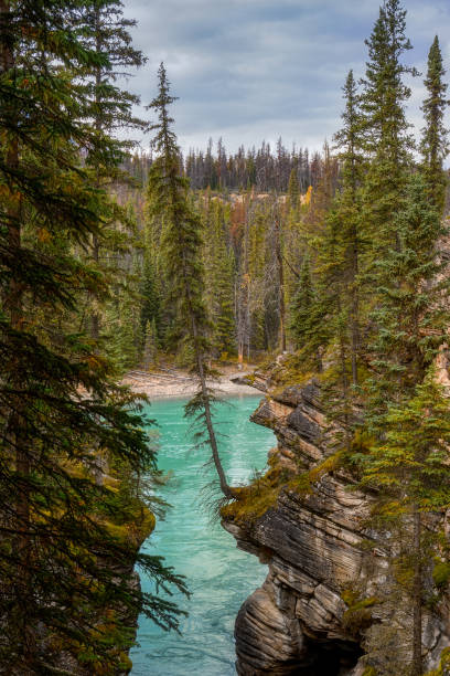 istock Athabasca Falls, Jasper Alberta Kanada travel destination 1277545142