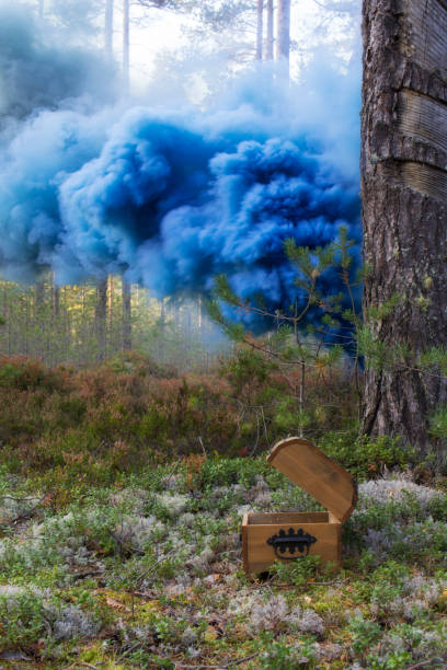 Chest on the background of the forest in blue smoke.
