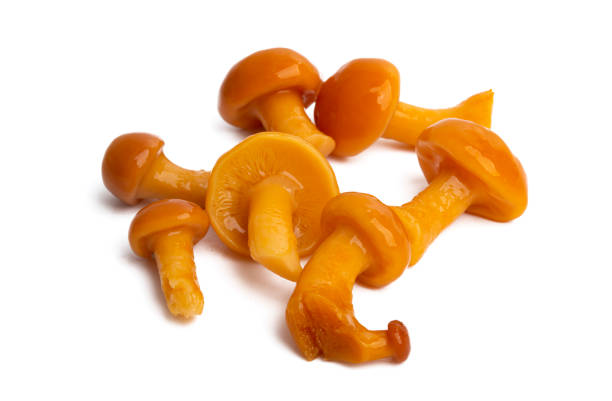 istock honey mushrooms isolated 1277546787