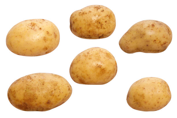 istock raw potato isolated on white background 1277546904