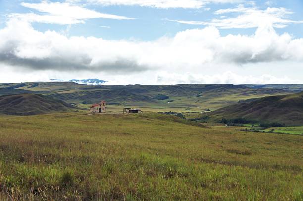 istock View of greenfield scenery in rainforest 1277547073
