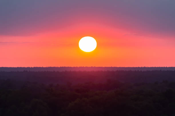 istock scarlet dawn over the forest 1277551837