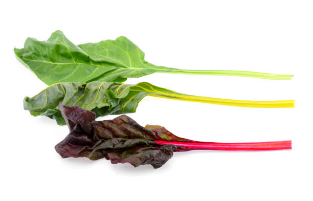 istock rhubarb isolated on white background 1277552274